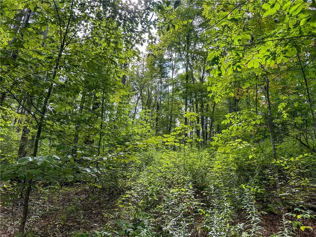 $35,900 | 8190 Billing Drive, Birdsall, NY 14804