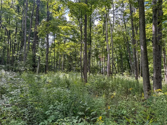 $35,900 | 8190 Billing Drive, Birdsall, NY 14804