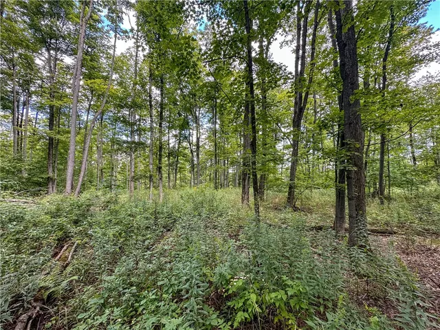 $35,900 | 8190 Billing Drive, Birdsall, NY 14804