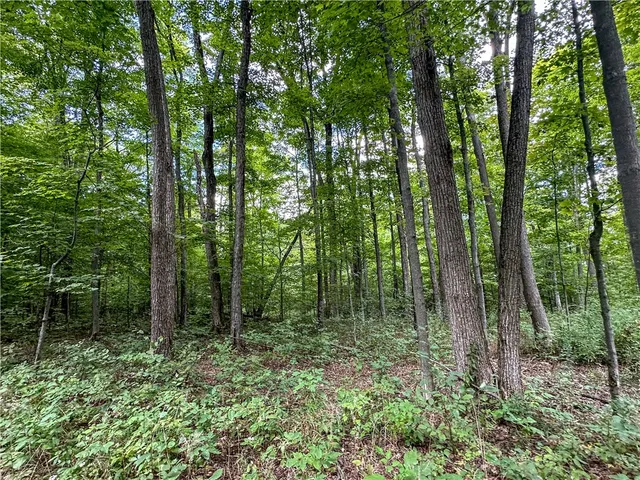 $35,900 | 8190 Billing Drive, Birdsall, NY 14804