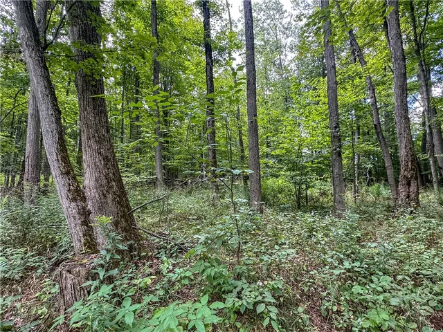 $35,900 | 8190 Billing Drive, Birdsall, NY 14804