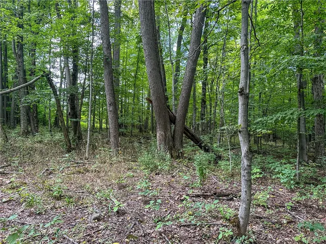 $35,900 | 8190 Billing Drive, Birdsall, NY 14804