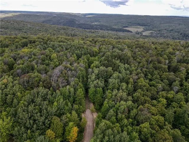 $35,900 | 8190 Billing Drive, Birdsall, NY 14804