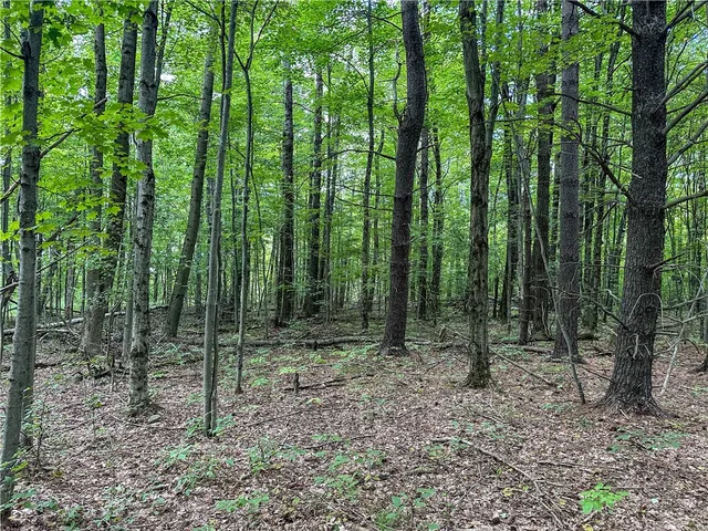 $35,900 | 8190 Billing Drive, Birdsall, NY 14804