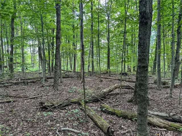 $35,900 | 8190 Billing Drive, Birdsall, NY 14804