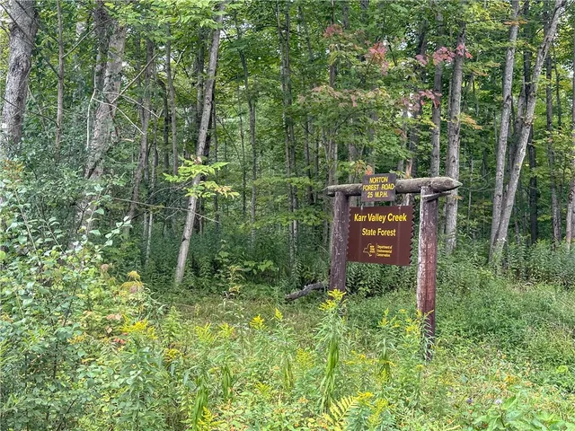 $35,900 | 8190 Billing Drive, Birdsall, NY 14804