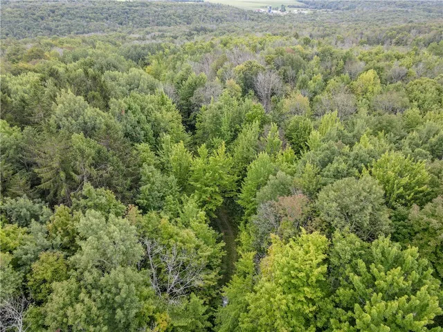 $35,900 | 8190 Billing Drive, Birdsall, NY 14804