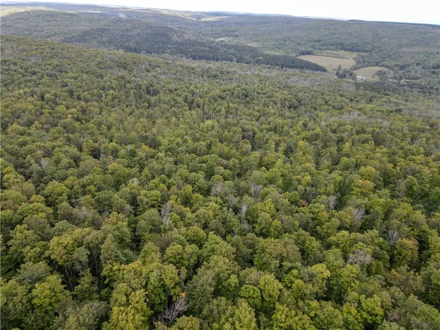 $35,900 | 8190 Billing Drive, Birdsall, NY 14804