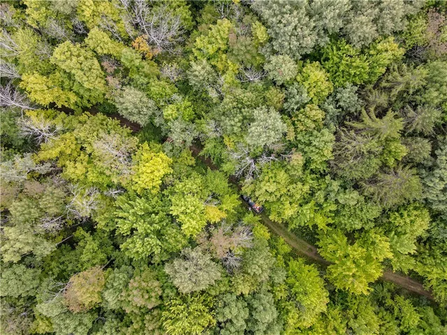 $35,900 | 8190 Billing Drive, Birdsall, NY 14804