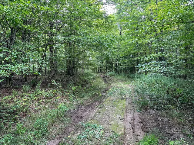 $35,900 | 8190 Billing Drive, Birdsall, NY 14804