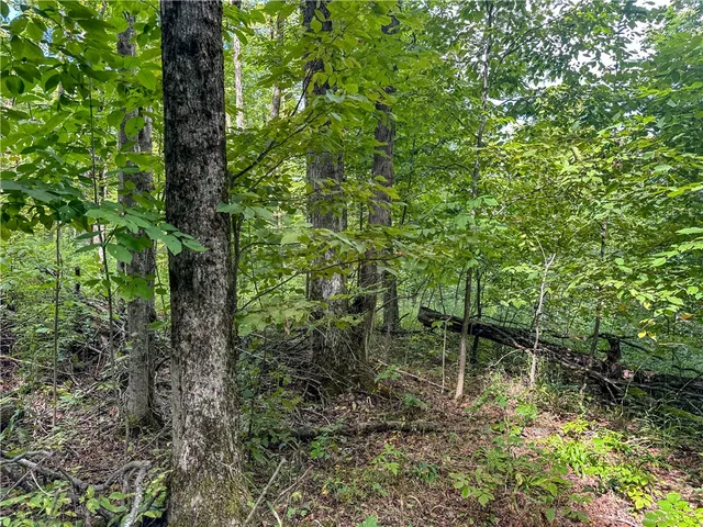 $35,900 | 8190 Billing Drive, Birdsall, NY 14804