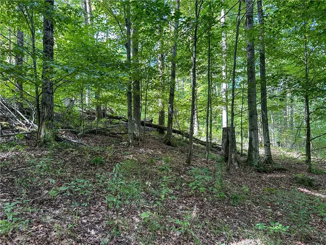 $35,900 | 8190 Billing Drive, Birdsall, NY 14804