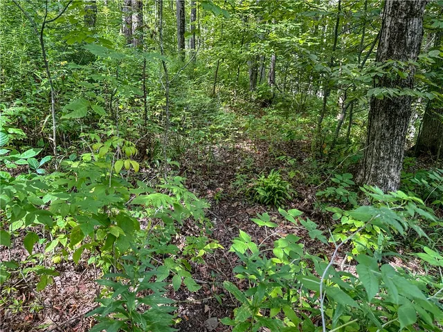 $35,900 | 8190 Billing Drive, Birdsall, NY 14804