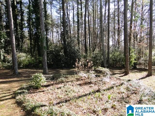 1905 3rd Place Northeast Center Point, AL 35215 - Photo 27 of 28