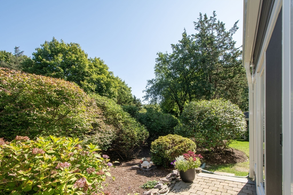 1 Gatehouse Lane, Unit 1 Hull, MA 02045 - Photo 13 of 42 a view of a garden with plants