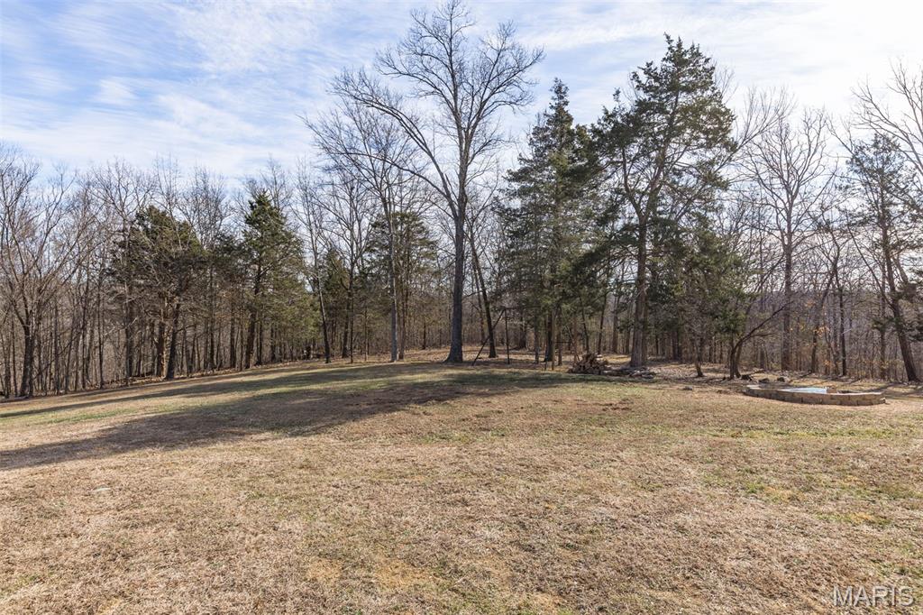 2401 Pfinister School Road De Soto, MO 63020 - Photo 14 of 84