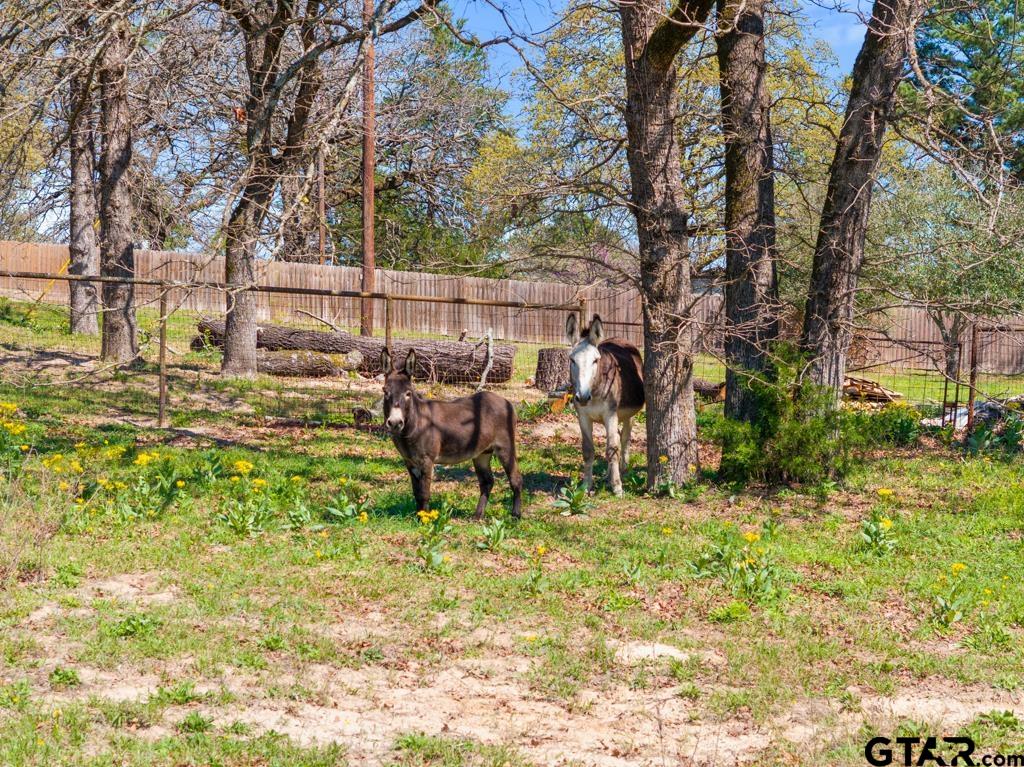 23326 County Road 448 Lindale, TX 75771 - Photo 39 of 48