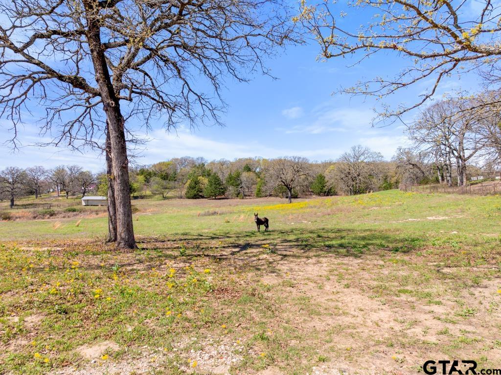 23326 County Road 448 Lindale, TX 75771 - Photo 42 of 48