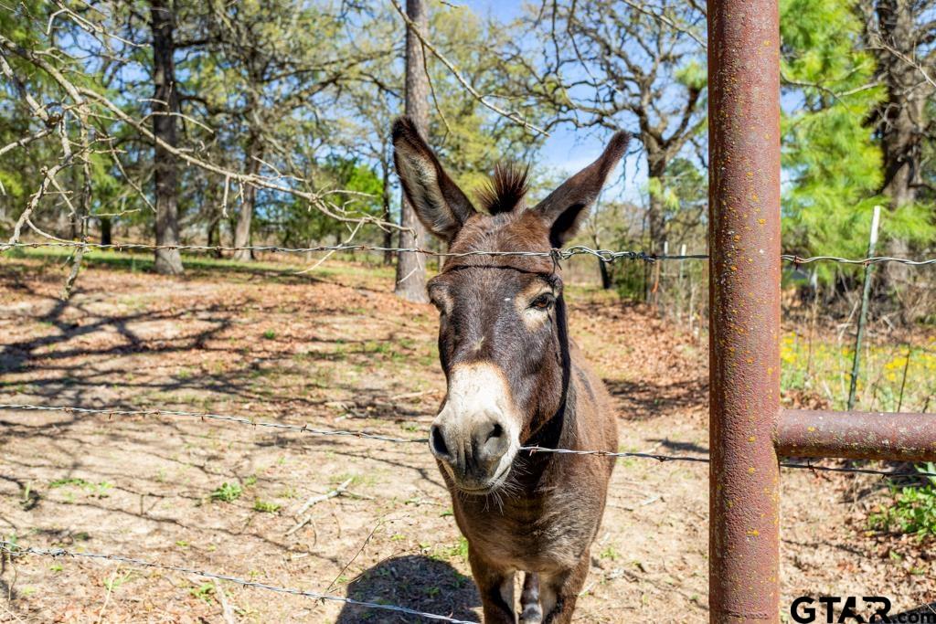 23326 County Road 448 Lindale, TX 75771 - Photo 7 of 48