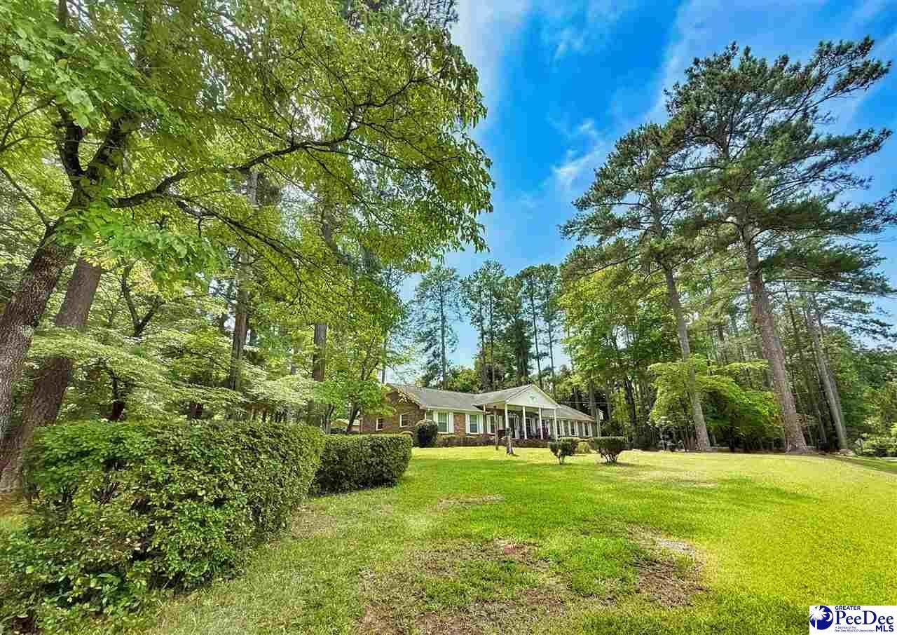 303 State Rd S-13-458 Chesterfield, SC 29709 - Photo 9 of 24 Gallery Image 9