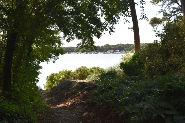 a view of a lake from a yard