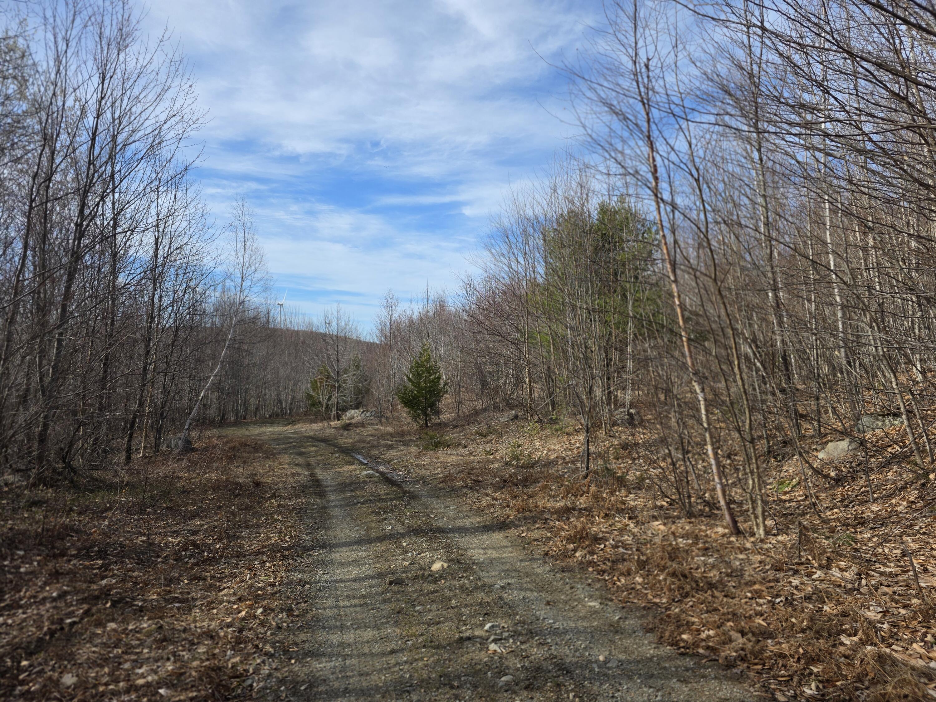 10 Moose Ridge Road Oakfield, ME 04763 - Photo 2 of 13