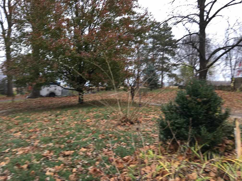 3856 East Bailey Road Monticello, IN 47960 - Photo 3 of 16 Gallery Image 3