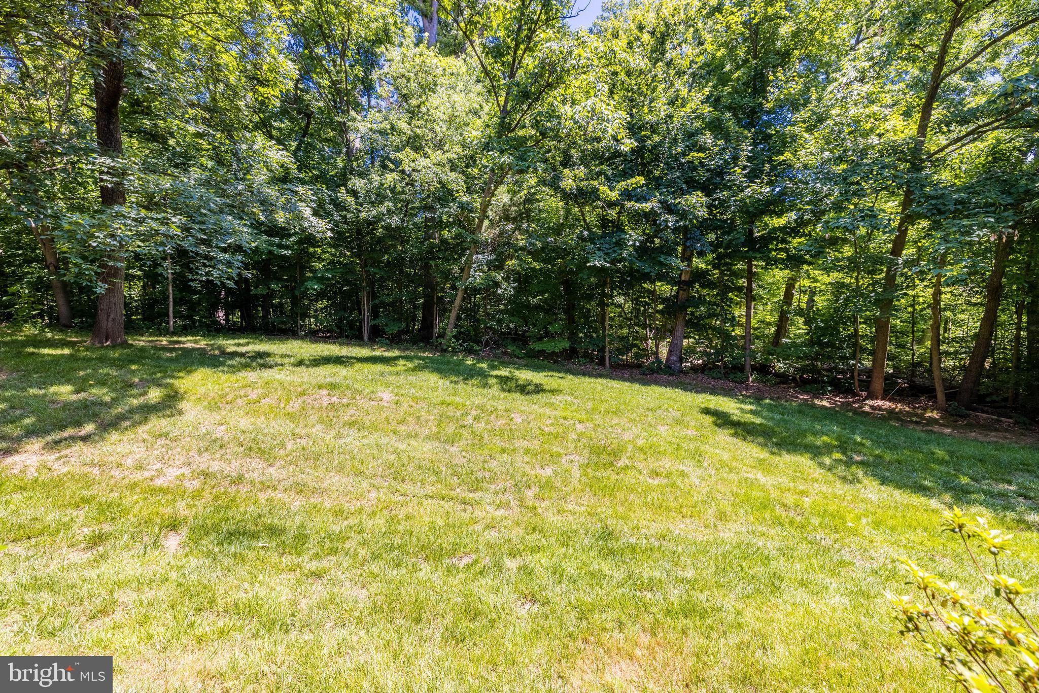 1631 Parkcrest Circle, Unit 8B/101 Reston, VA 20190 - Photo 26 of 27 View to common land back by vast mature woods.