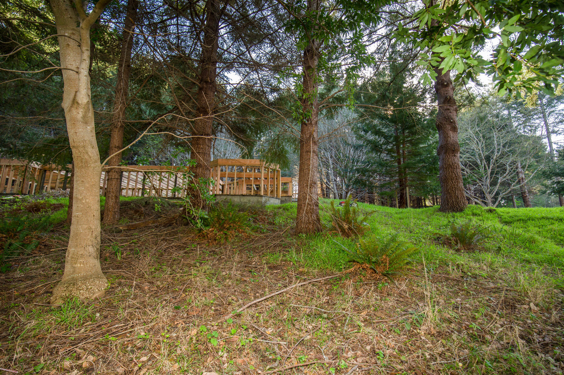 515 Beach Road Shelter Cove, CA 95589 - Photo 21 of 31