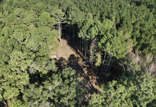 $883,000 | 746 Dupre Road, McClellanville, SC 29458