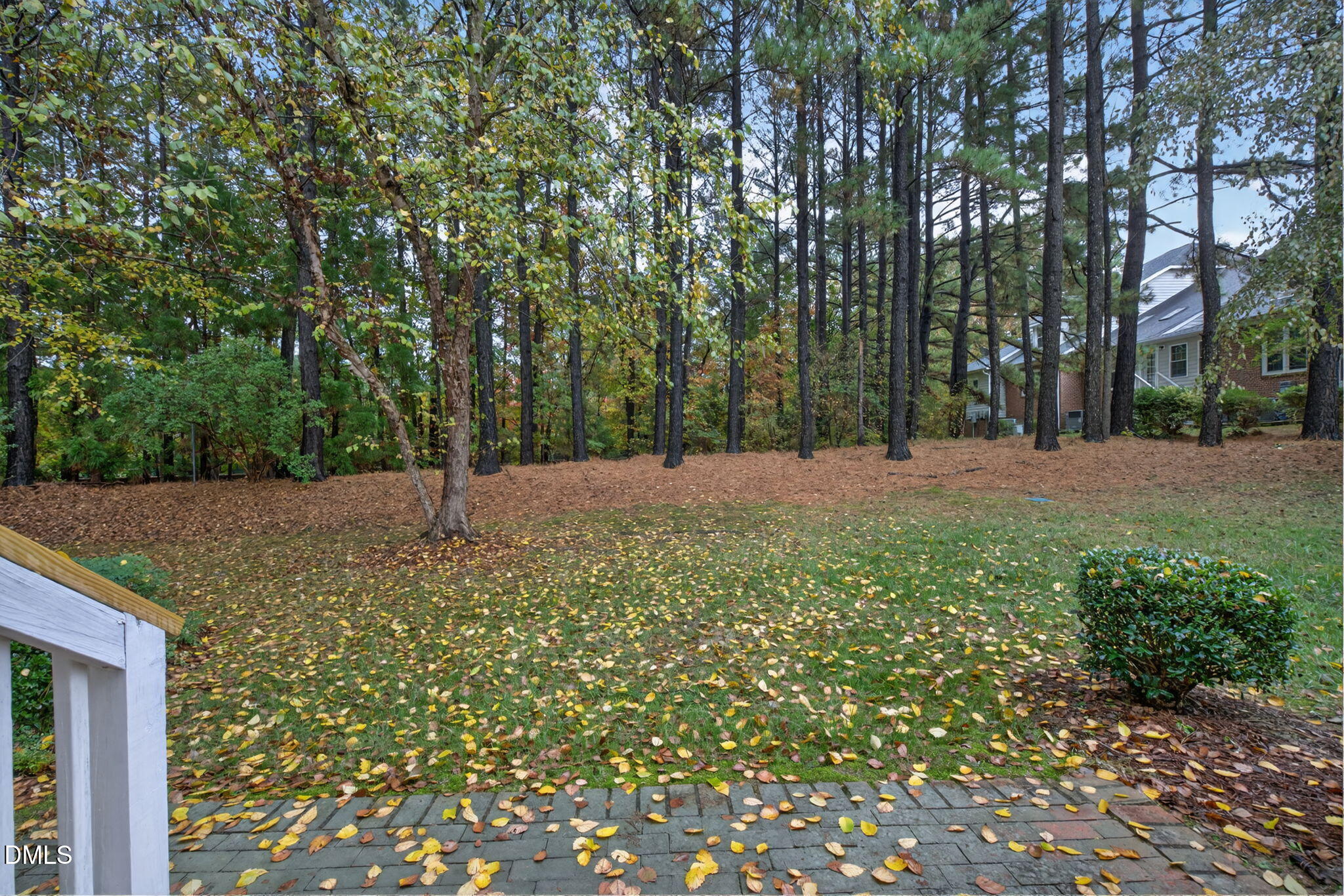 3421 Barron Berkeley Way Raleigh, NC 27612 - Photo 45 of 48 a backyard of a house with lots of green space
