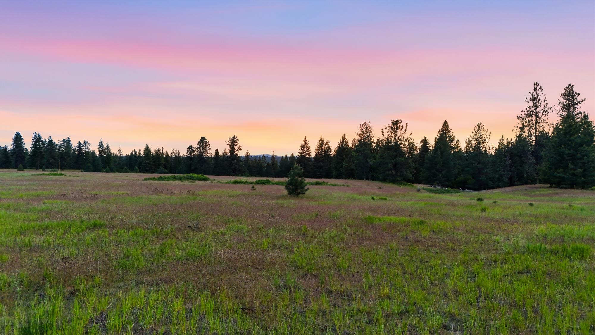 682 Henry Road Elk, WA 99009 - Photo 11 of 21