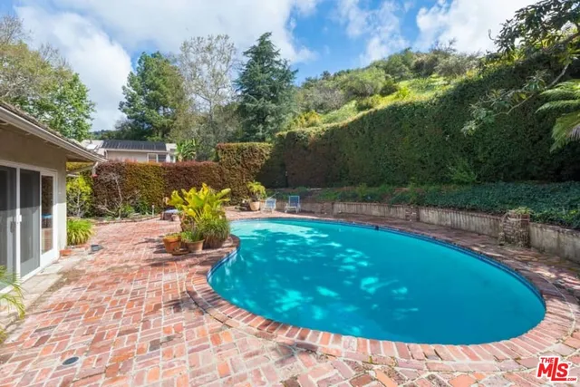 a view of a swimming pool with a yard and plants