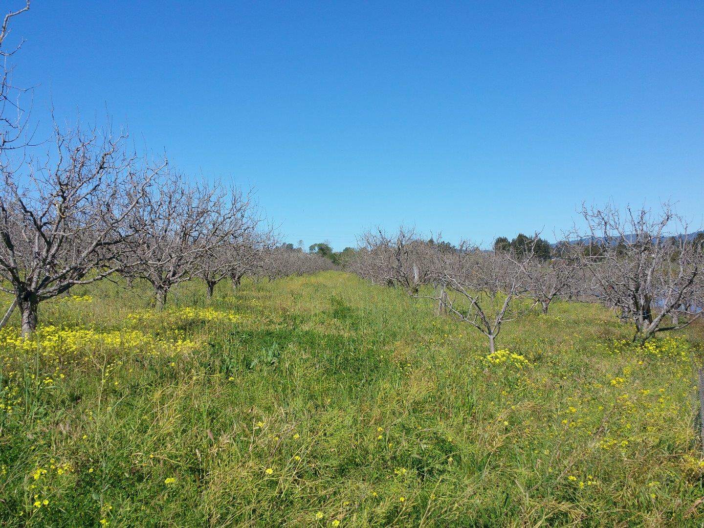 0 Minto Road Watsonville, CA 95076 - Photo 1 of 4 Gallery Image 1