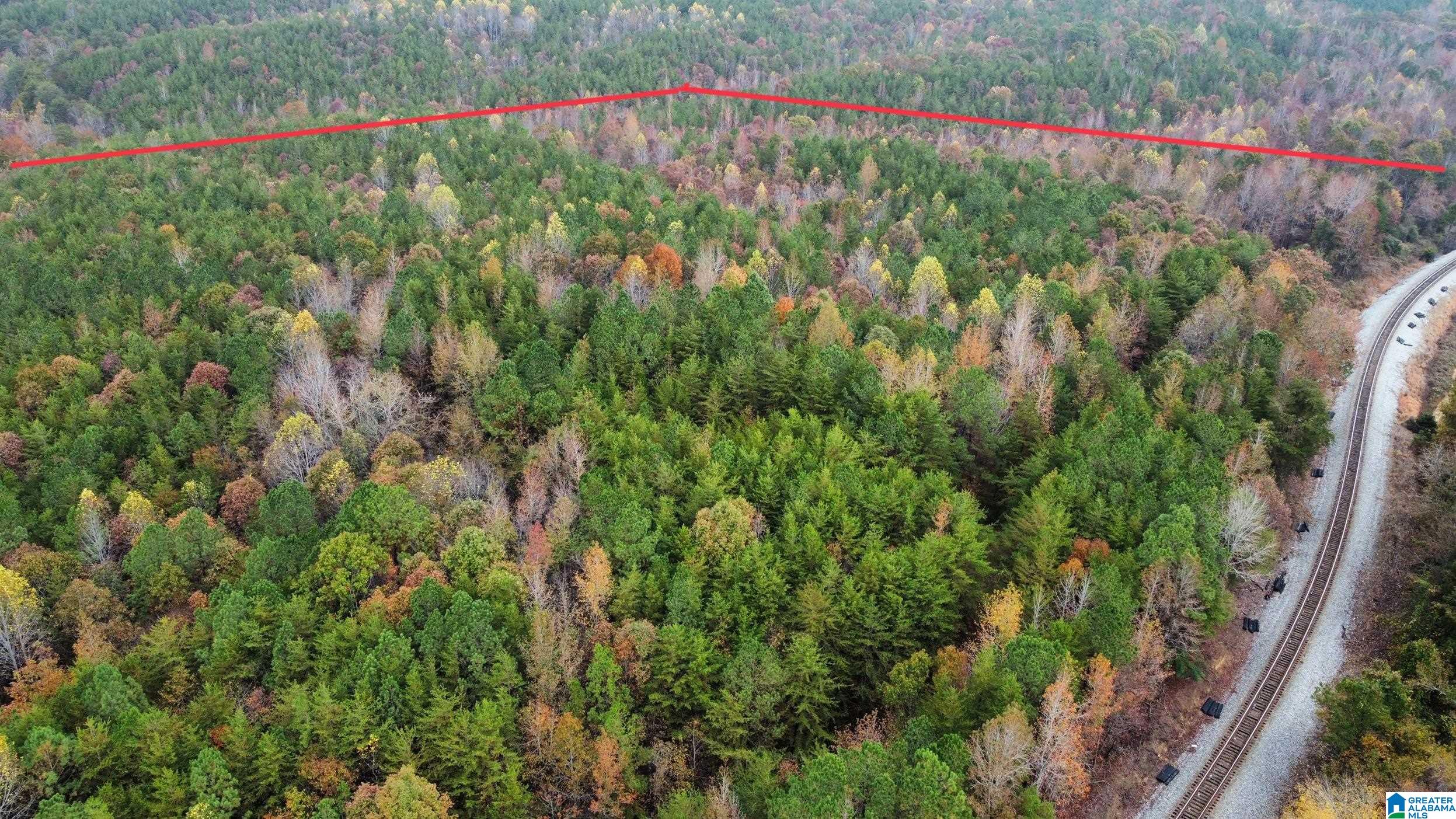 83-acres Byler Road, Unit 83 ACRES Haleyville, AL 35565 - Photo 17 of 19