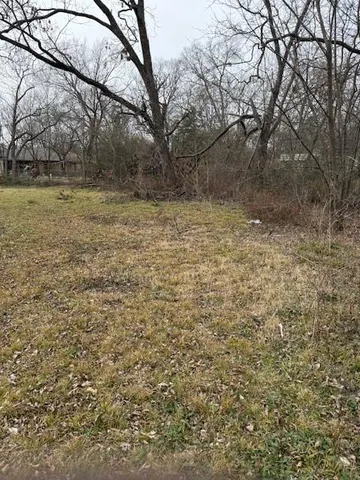 a view of a yard with a tree