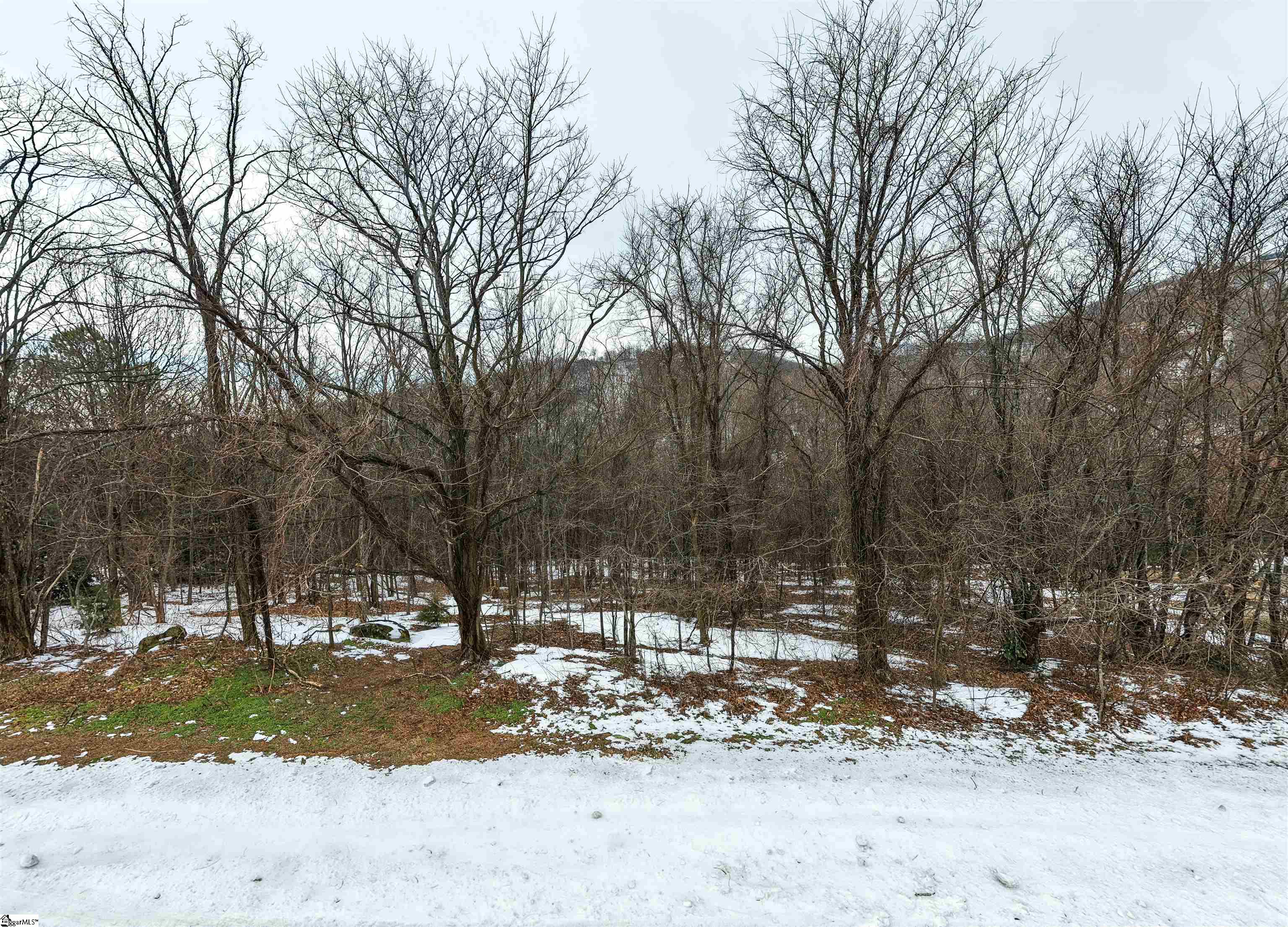 90 Eagle Rock Road Landrum, SC 29356 - Photo 17 of 18