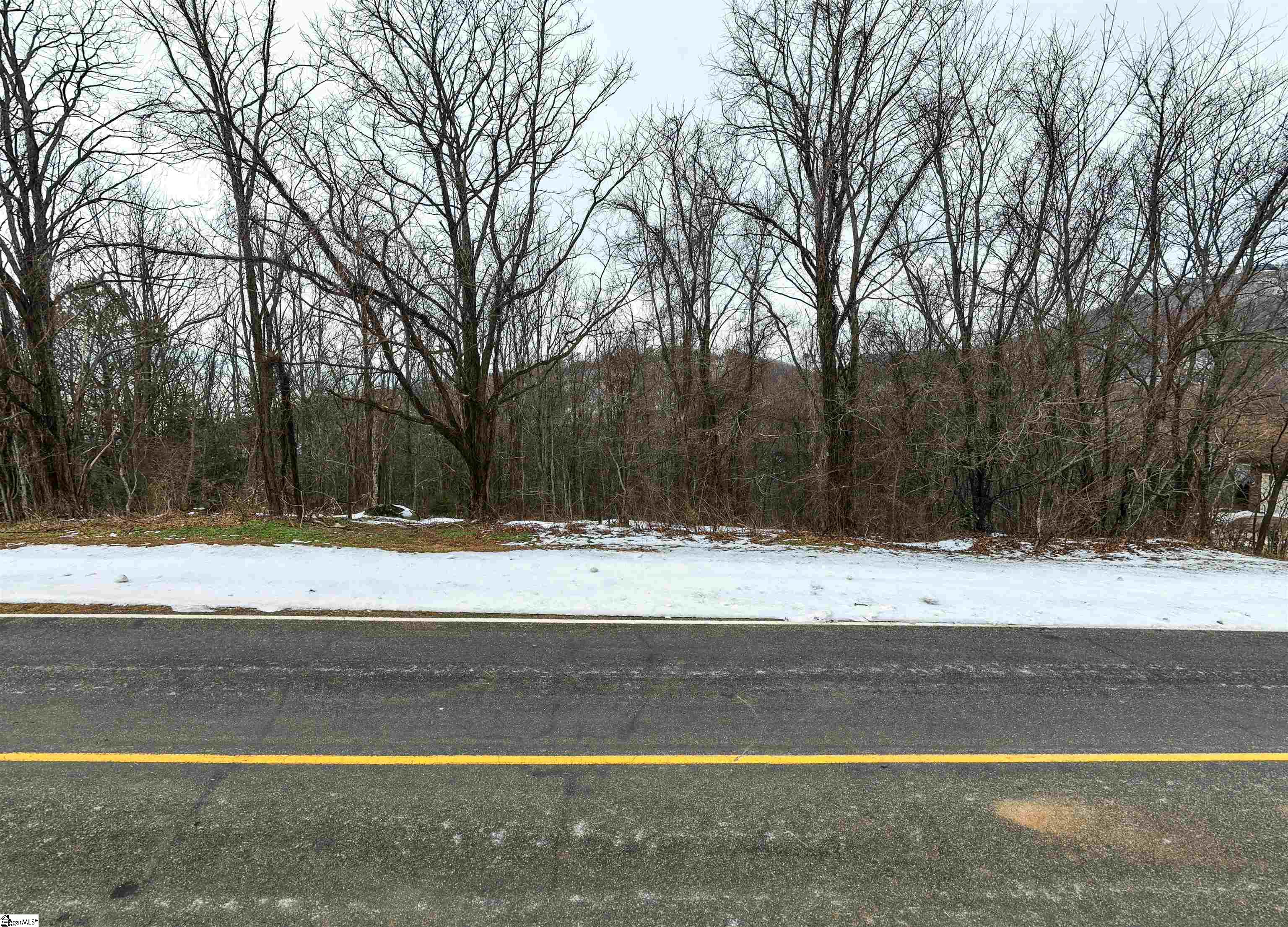 90 Eagle Rock Road Landrum, SC 29356 - Photo 18 of 18