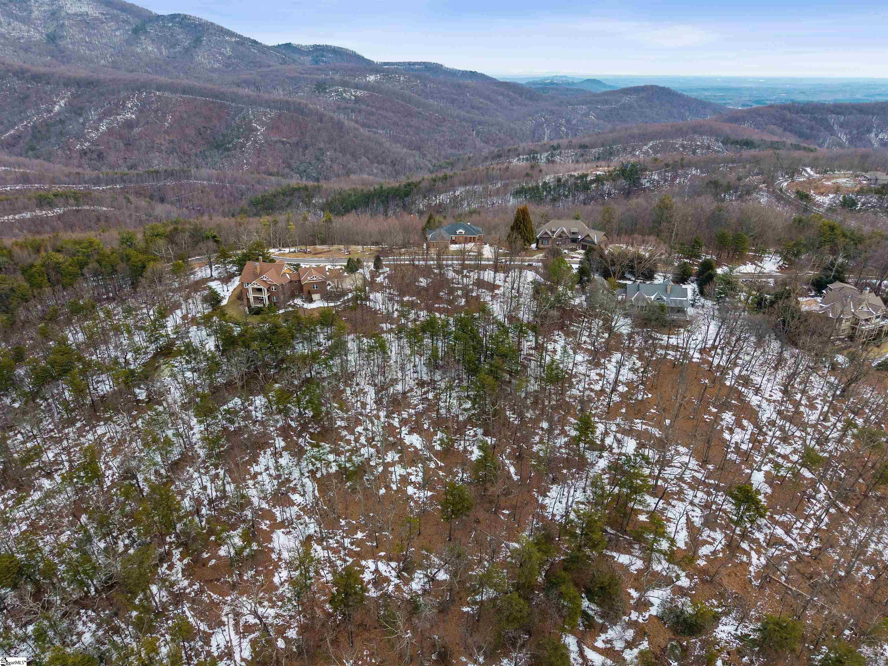 90 Eagle Rock Road Landrum, SC 29356 - Photo 3 of 18