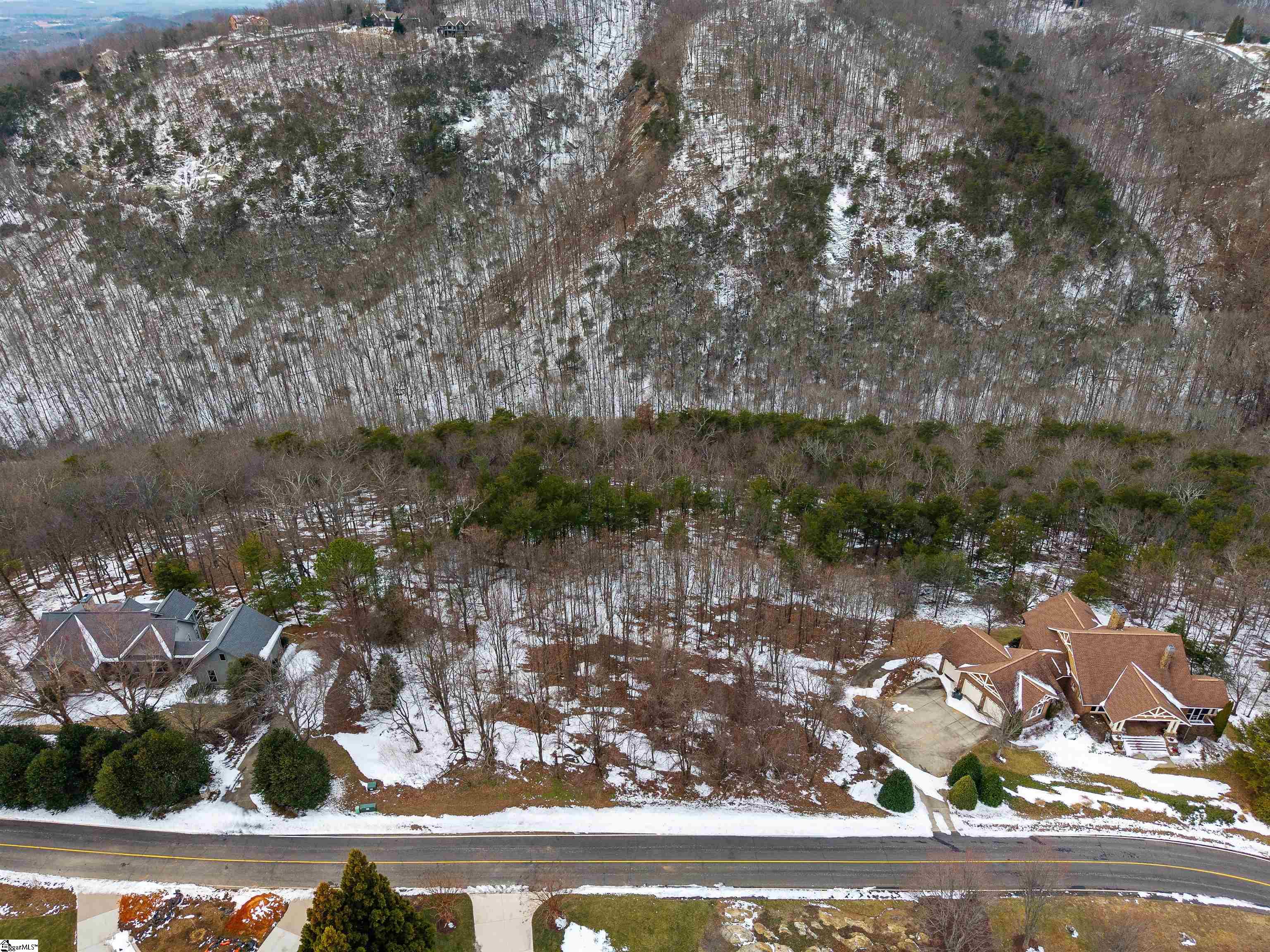 90 Eagle Rock Road Landrum, SC 29356 - Photo 6 of 18