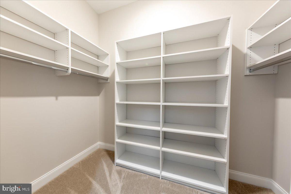13712 Long Ridge Drive Gainesville, VA 20155 - Photo 26 of 62 a view of walk in closet with empty racks