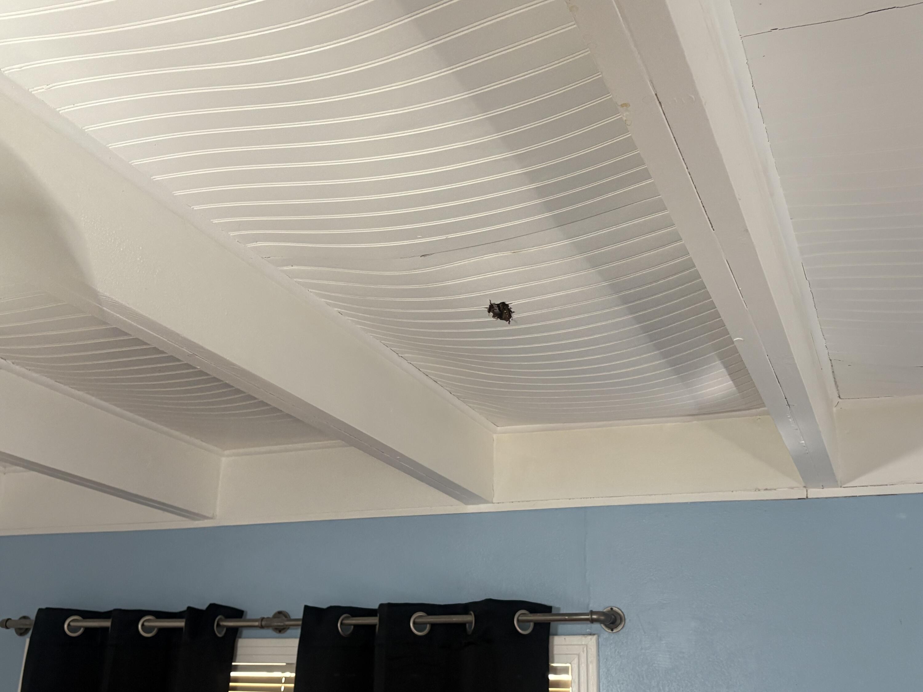 2009 46th Street Lubbock, TX 79412 - Photo 31 of 41 a view of staircase