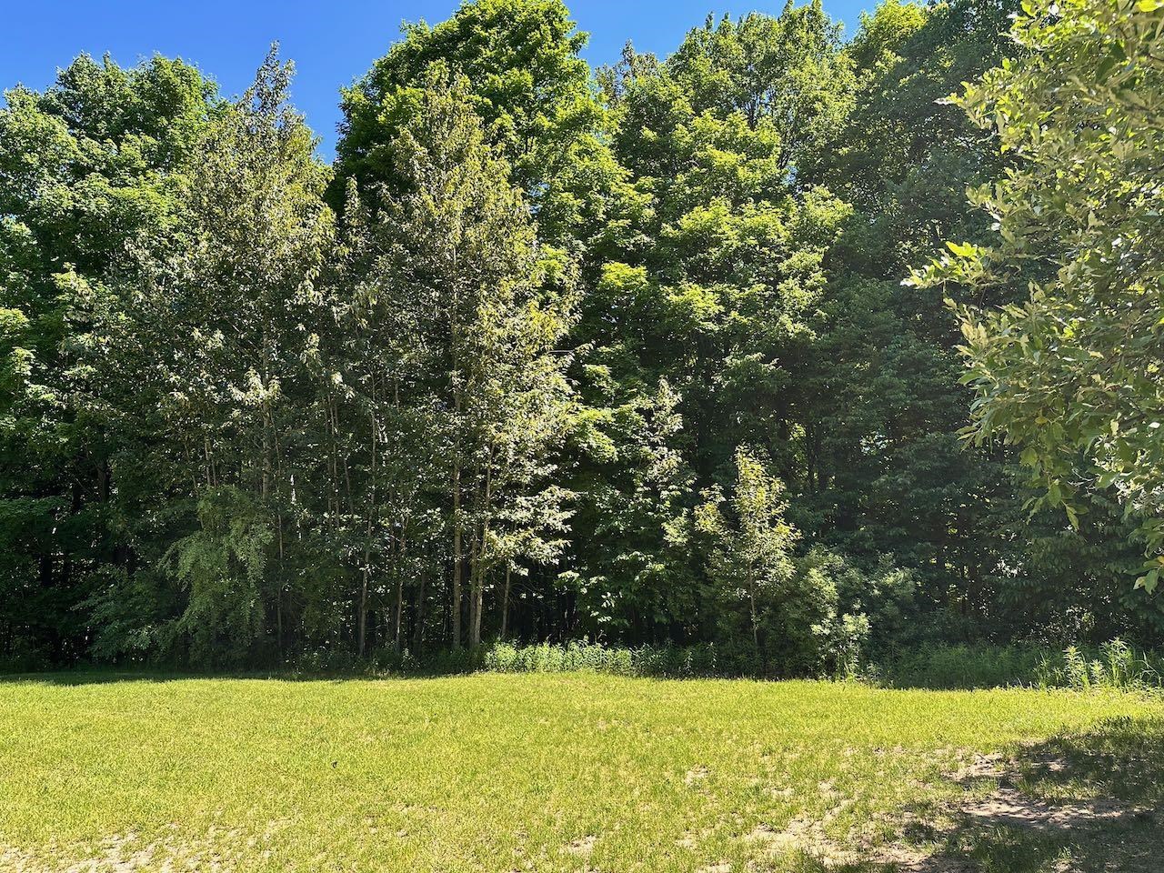 128 Founders Ridge Bellaire, MI 49615 - Photo 1 of 35 1923502-6e99fd30-bb19-48da-a00c-52862e1710fa.JPG