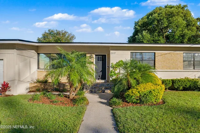 a view of a backyard with potted plants