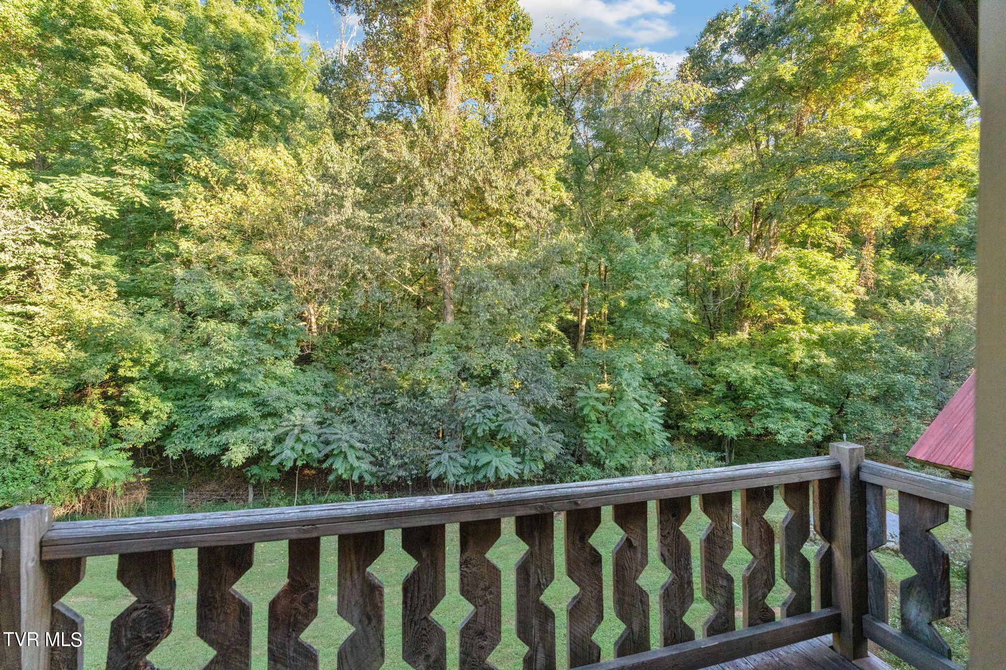 346 Edgefield Road Piney Flats, TN 37686 - Photo 62 of 97 62-web-or-mls-DSC01511