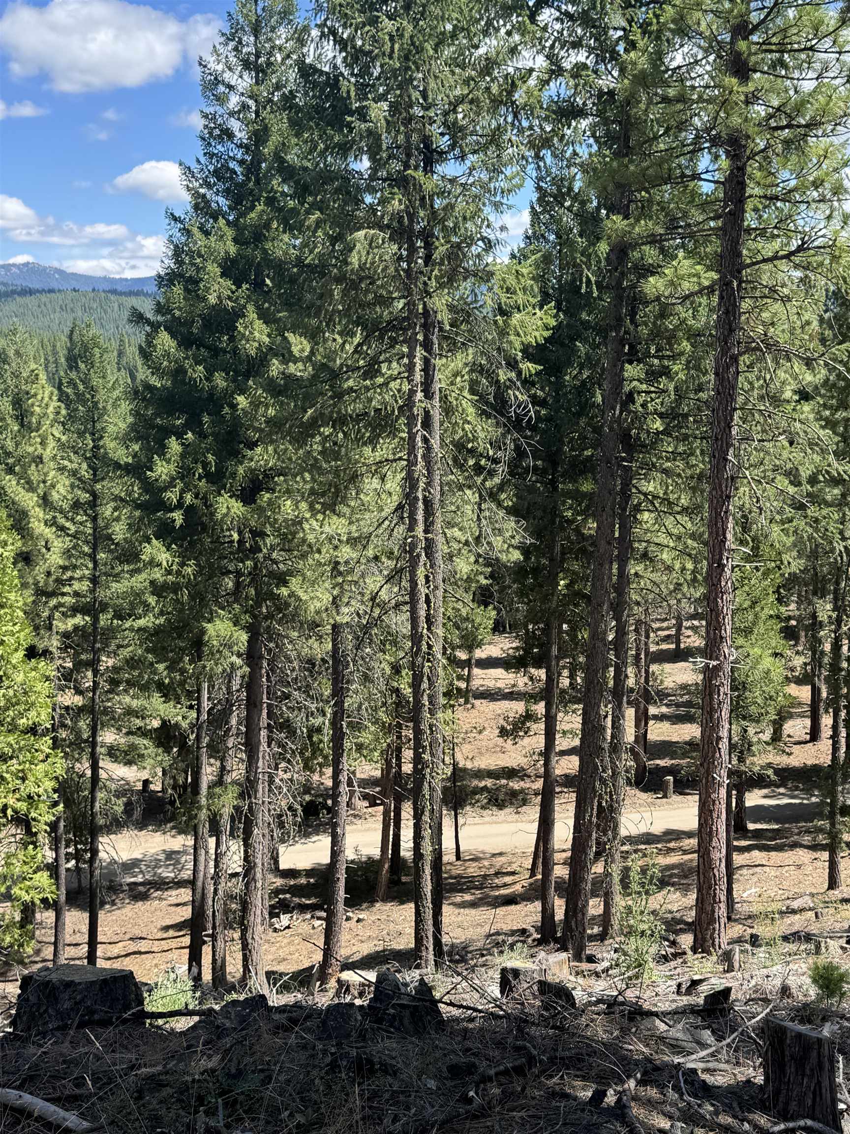 2245 Xanadu Road Clio, CA 96106 - Photo 6 of 43