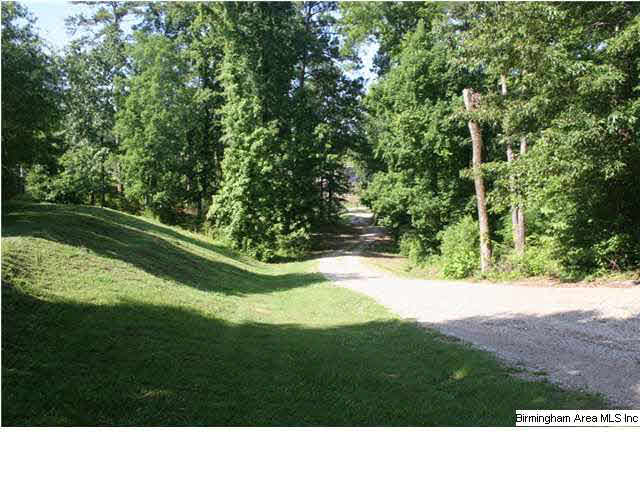 777 Carl Raines Lake Road Birmingham, AL 35244 - Photo 22 of 32