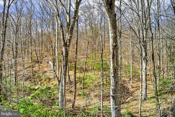 $399,000 | 18 Chickasaw Place, Charlottesville, VA 22902