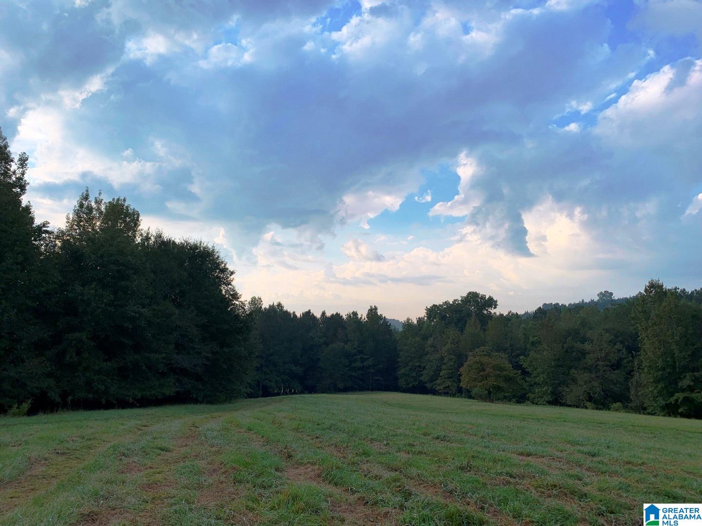 78 St E Acres Al, Unit 101 Anniston, AL 36207 - Photo 9 of 17