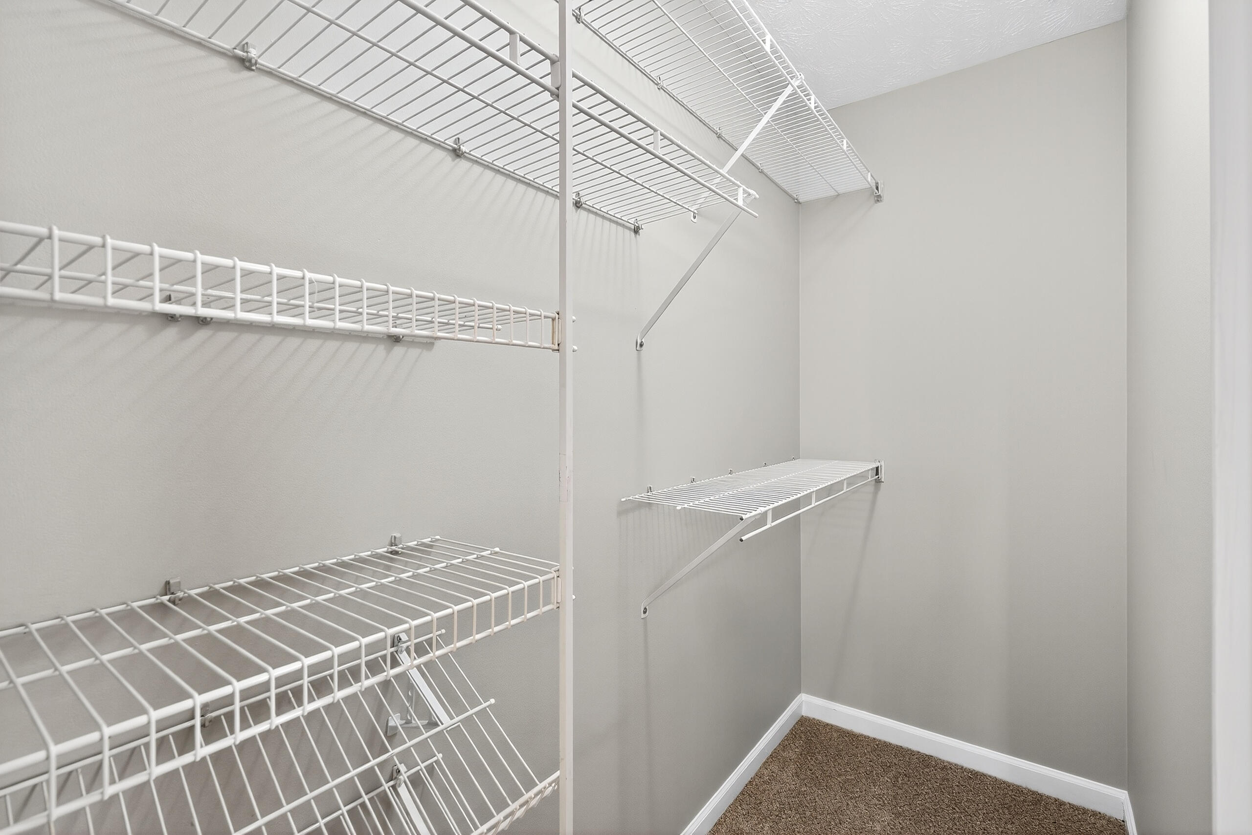 3536 Forest Spring Court Lexington, KY 40509 - Photo 16 of 25 3536forest16